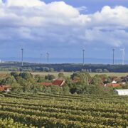 220725_Windraeder_Leiselheim_02