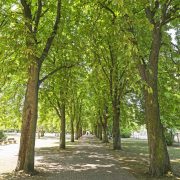 250626_Hitze_Innenstadtplaetze_Worms_01